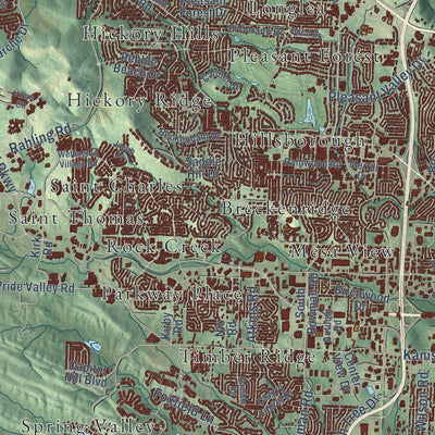 Close-up of the map of Little Rock, Arkansas print showing street and building detail
