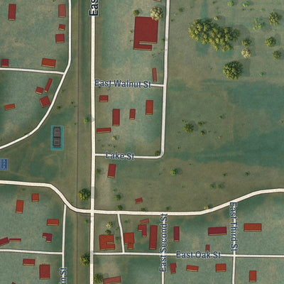 Close-up of the map of Montrose, Arkansas print showing street and building detail