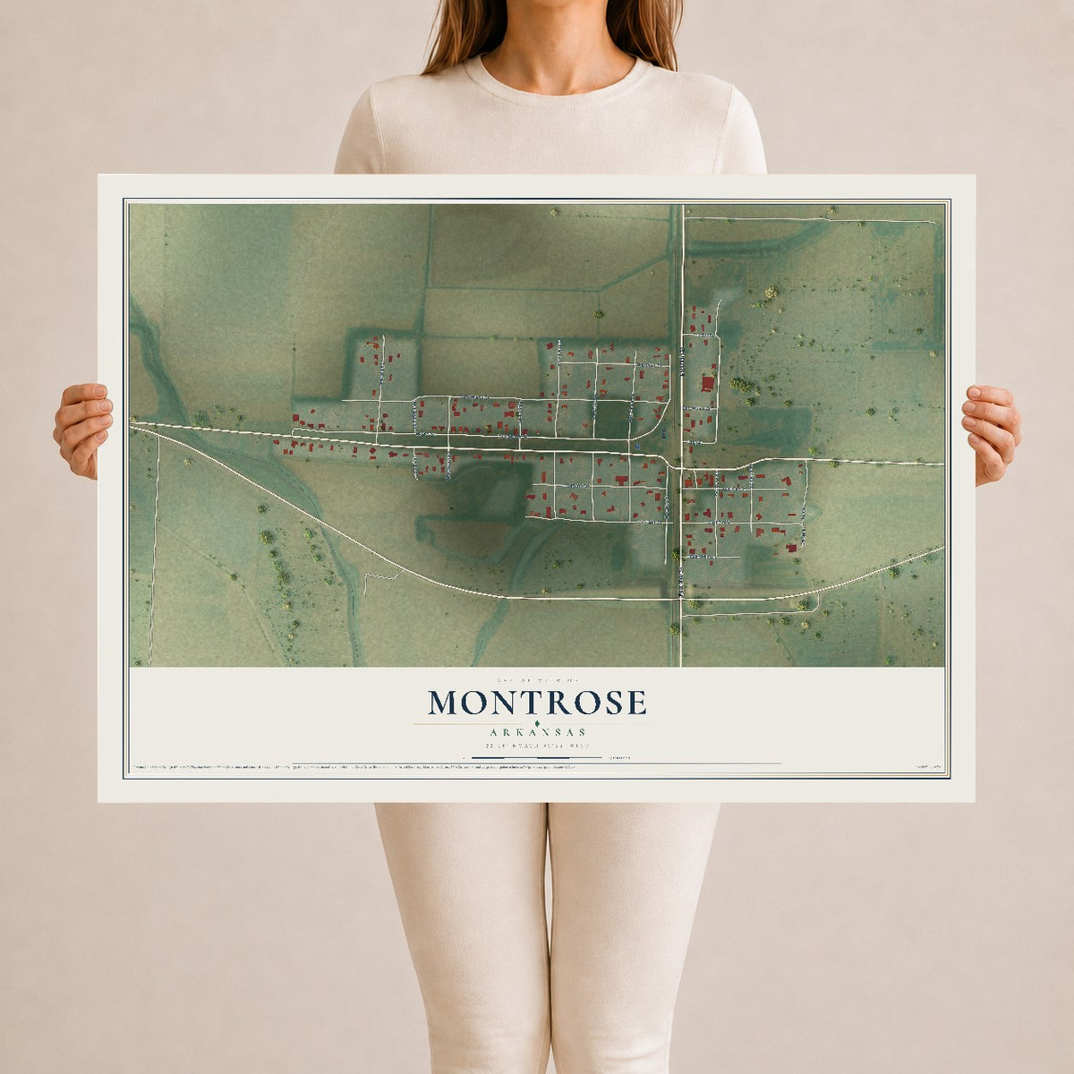 Map of Montrose, Arkansas, 24 x 36 inch unframed archival matte print