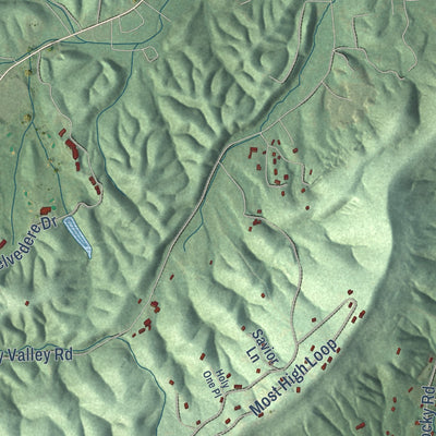 Close-up of the map of Morning Star, Arkansas print showing street and building detail
