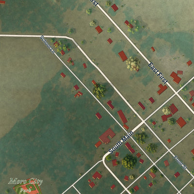 Close-up of the map of Moro, Arkansas print showing street and building detail