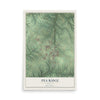 Map of Pea Ridge, Arkansas, 12 x 18 inch unframed archival matte print