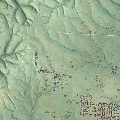 Second close-up of the map of Pea Ridge, Arkansas print showing more streets and buildings