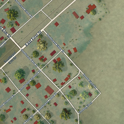 Close-up of the map of Peach Orchard, Arkansas print showing street and building detail