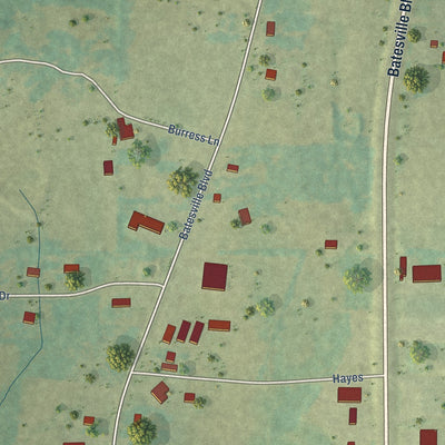 Second close-up of the map of Pleasant Plains, Arkansas print showing more streets and buildings