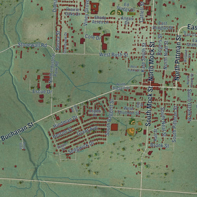Close-up of the map of Prairie Grove, Arkansas print showing street and building detail