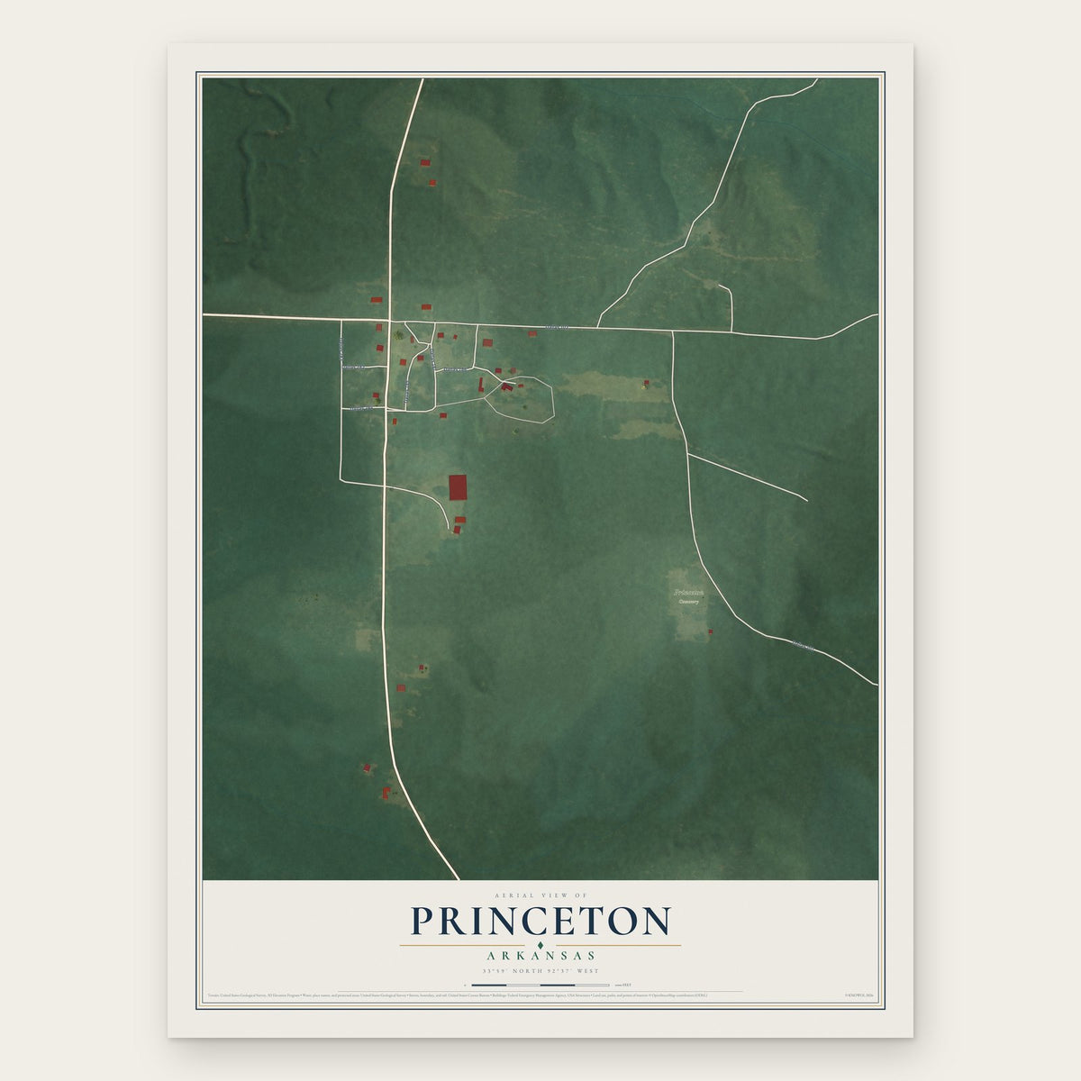 Princeton, Arkansas map print, the full design