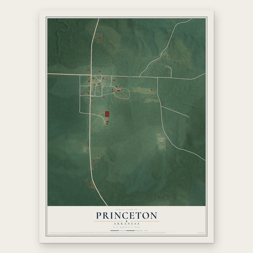 Princeton, Arkansas map print, the full design