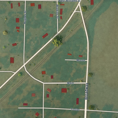 Close-up of the map of Roe, Arkansas print showing street and building detail