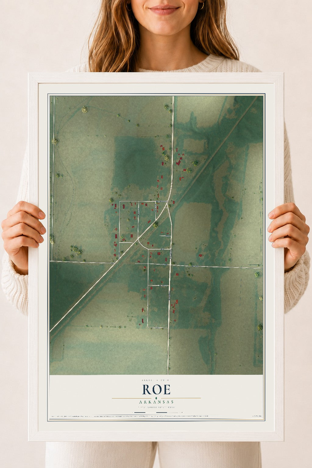 Map of Roe, Arkansas, 18 x 24 inch print in a white wood frame