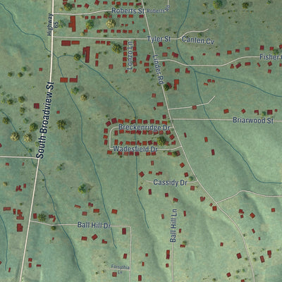 Close-up of the map of Springhill, Arkansas print showing street and building detail