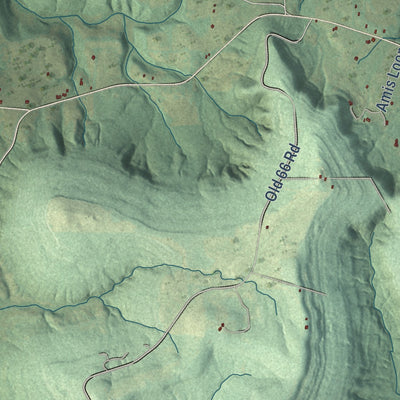 Close-up of the map of Timbo, Arkansas print showing street and building detail