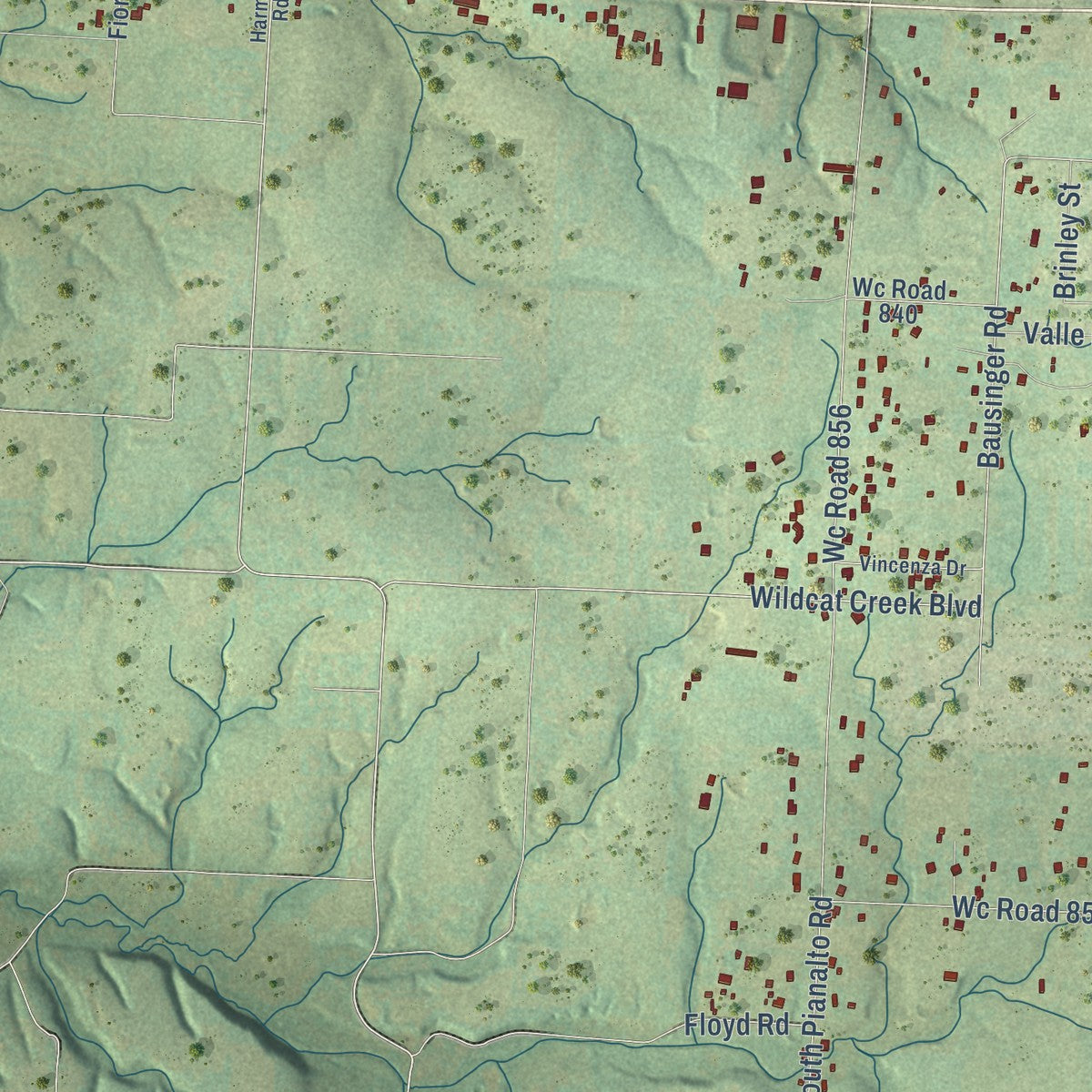 Second close-up of the map of Tontitown, Arkansas print showing more streets and buildings