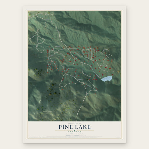 Pine Lake, Arizona map print, the full design