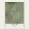 Pisinemo, Arizona map print, the full design