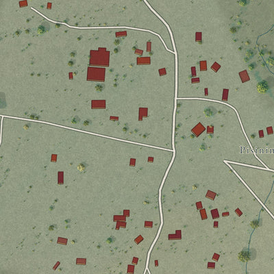 Close-up of the map of Pisinemo, Arizona print showing street and building detail