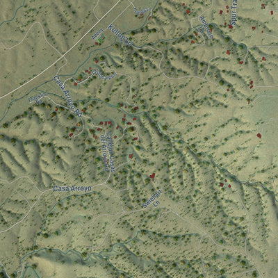 Close-up of the map of Sonoita, Arizona print showing street and building detail