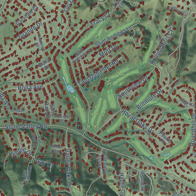 Second close-up of the map of Alamo, California print showing more streets and buildings