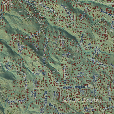 Second close-up of the map of Alpine, California print showing more streets and buildings