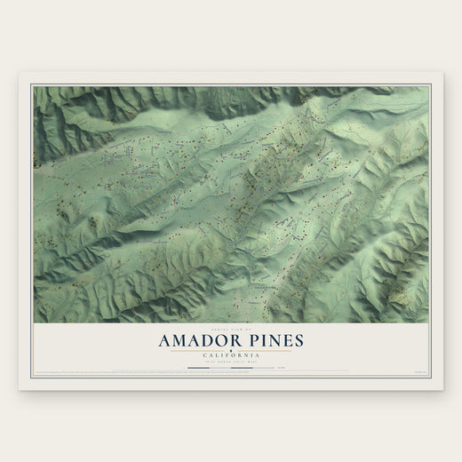 Amador Pines, California map print, the full design
