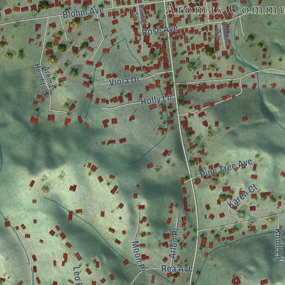 Close-up of the map of Aromas, California print showing street and building detail