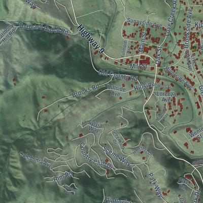 Second close-up of the map of Ben Lomond, California print showing more streets and buildings