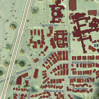 Close-up of the map of Birdland, California print showing street and building detail