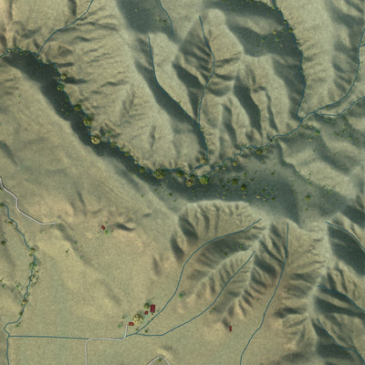 Close-up of the map of Bitterwater, California print showing street and building detail
