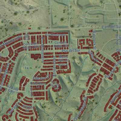 Second close-up of the map of Black Mountain Ranch, California print showing more streets and buildings