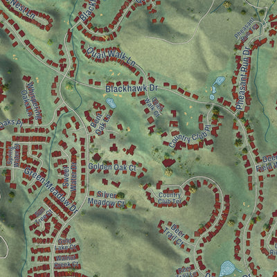 Close-up of the map of Blackhawk, California print showing street and building detail