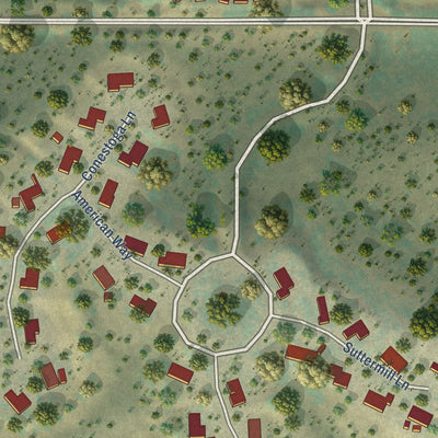 Close-up of the map of Blacklake, California print showing street and building detail