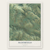 Bloomfield, California map print, the full design
