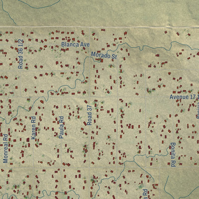 Close-up of the map of Bonadelle Ranchos, California print showing street and building detail