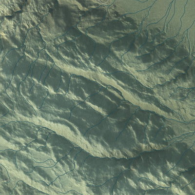 Close-up of the map of Borrego Springs, California print showing street and building detail