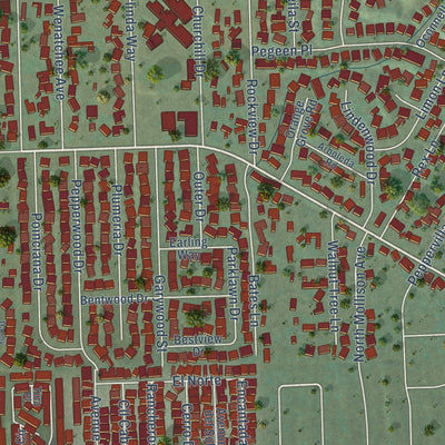 Close-up of the map of Bostonia, California print showing street and building detail