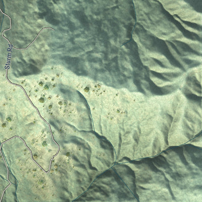 Close-up of the map of Bridgeville, California print showing street and building detail