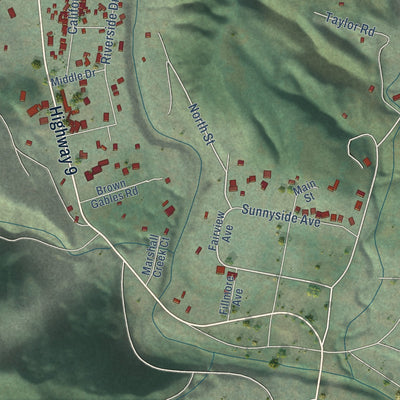 Close-up of the map of Brookdale, California print showing street and building detail