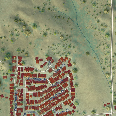 Close-up of the map of Buena Vista, California print showing street and building detail