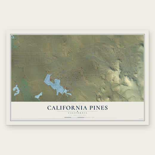California Pines, California map print, the full design