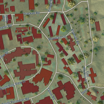 Close-up of the map of California Polytechnic State University, California print showing street and building detail