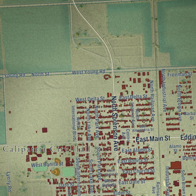 Close-up of the map of Calipatria, California print showing street and building detail