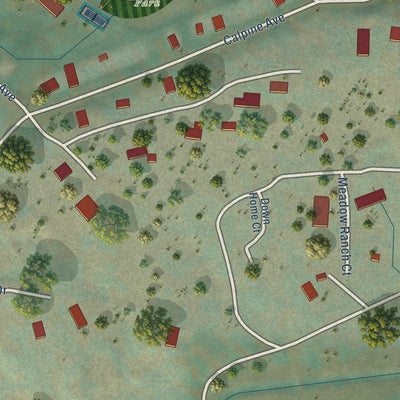 Close-up of the map of Calpine, California print showing street and building detail