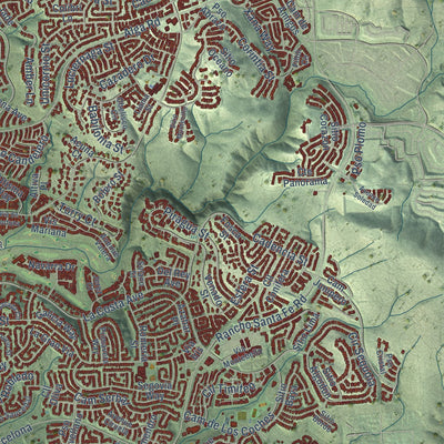 Close-up of the map of Carlsbad, California print showing street and building detail