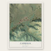 Casmalia, California map print, the full design