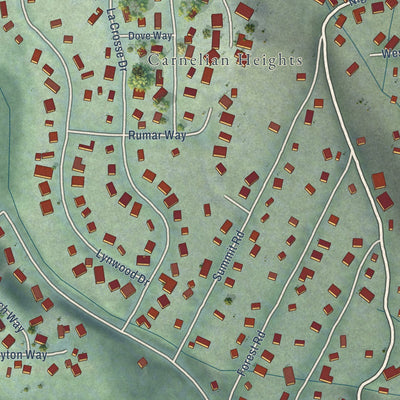 Close-up of the map of Cedar Flat, California print showing street and building detail