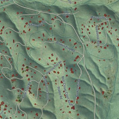 Close-up of the map of Cedar Ridge, California print showing street and building detail