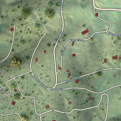 Close-up of the map of Cedar Slope, California print showing street and building detail