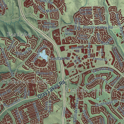 Close-up of the map of Chula Vista, California print showing street and building detail