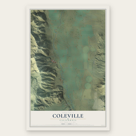 Coleville, California map print, the full design