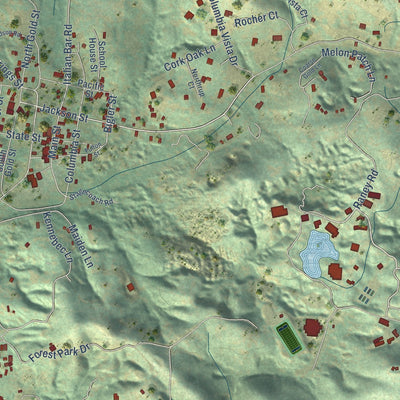 Close-up of the map of Columbia, California print showing street and building detail